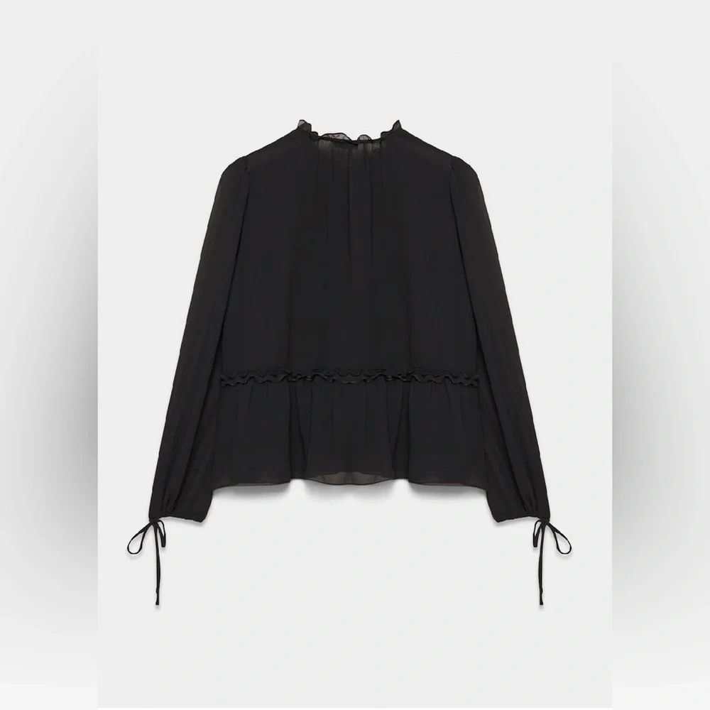 Aritzia Sheer Black Blouse - Picture 9 of 15